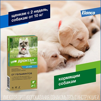 Дронтал Плюс для собак
