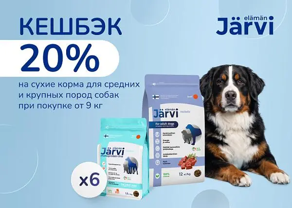 Кешбэк 20% на сухой корм Jarvi для собак