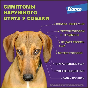 Нептра раствор для лечения наружного отита у собак