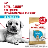 Royal Canin Labrador Retriever Puppy для щенков породы лабрадор