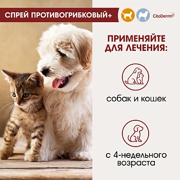 Цитодерм спрей противогрибковый для кошек и собак