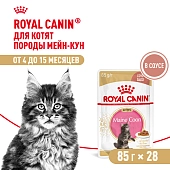 Royal Canin Maine Coon Kitten пауч для кошек породы мейн кун (кусочки в соусе)