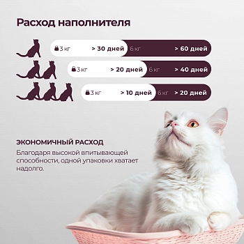 Qushy наполнитель "Хвоя" растительный комкующийся