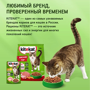 Kitekat сухой корм для кошек