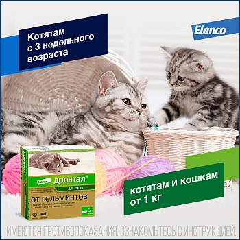 Дронтал для кошек