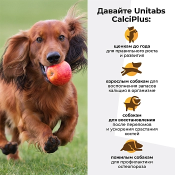 Unitabs витамины CalciPlus с Q10 для собак