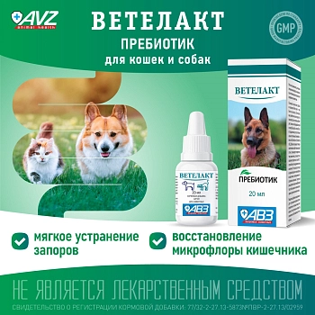 Ветелакт