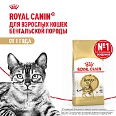 Royal Canin Bengal Adult для взрослых кошек бенгальской породы