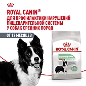 Royal Canin Medium Digestive Care для собак средних пород с чувствительной пищеварительной системой