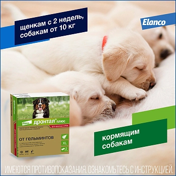 Дронтал Плюс XL для крупных собак