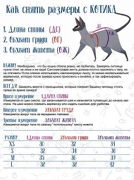 Элегантный Кот свитшот "Фестиваль красок" для кошек