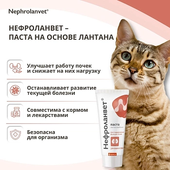 Нефроланвет паста для кошек и собак