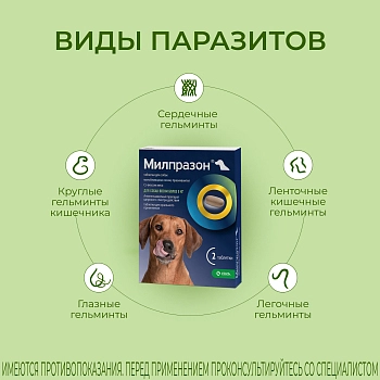 Милпразон антигельминтный препарат для собак более 5 кг