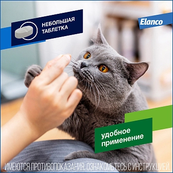 Дронтал для кошек