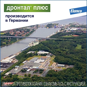 Дронтал Плюс XL для крупных собак