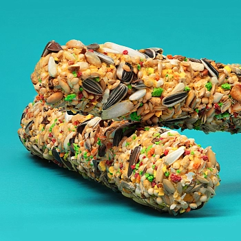 RIO Палочки для попугаев (2х90 г.)