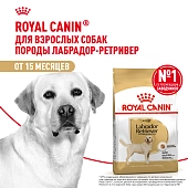 Royal Canin Labrador Retriever Adult корм для собак породы лабрадор