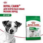 Royal Canin Mini Adult 8+ для собак старше 8 лет мелких пород