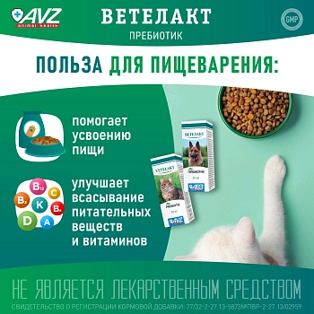 Ветелакт