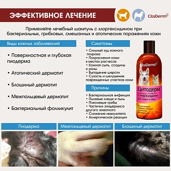 Цитодерм шампунь лечебный с хлоргексидином