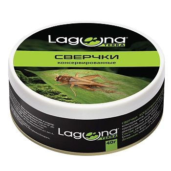 Laguna сверчки консервированные