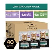 PRO PLAN MAINTENANCE набор паучей для кошек (в соусе + в желе)