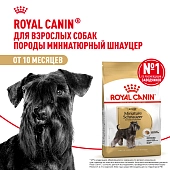 Royal Canin Miniature Schnauzer Adult для собак породы миниатюрный шнауцер