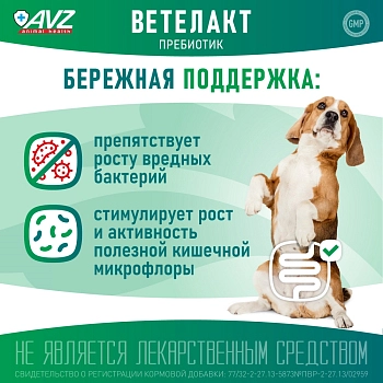 Ветелакт