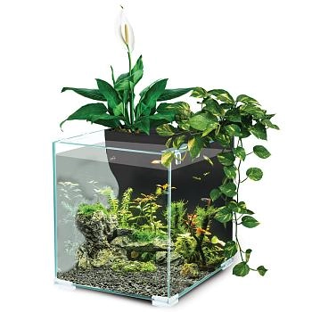 Laguna аквариум Botanic