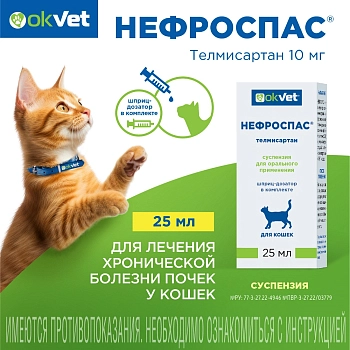 Нефроспас суспензия для кошек