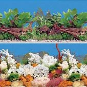 Laguna фон Белый коралл/Оазис 0,6 х 15м