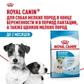 Royal Canin Mini Starter для щенков до 2 месяцев, беременных и кормящих сук