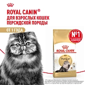 Royal Canin Persian Adult для взрослых кошек персидской породы