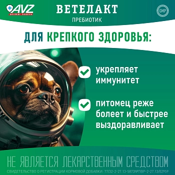Ветелакт