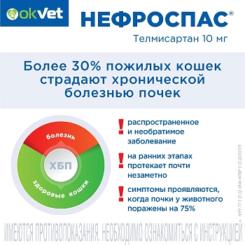 Нефроспас суспензия для кошек