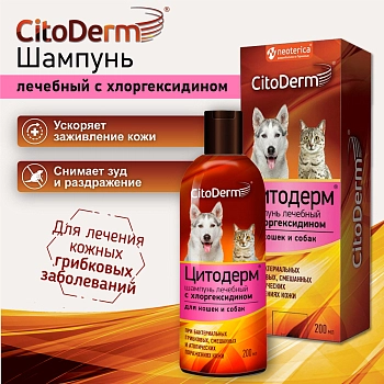Цитодерм шампунь лечебный с хлоргексидином