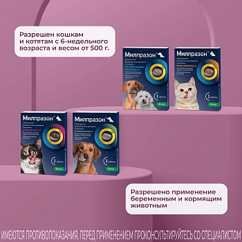 Милпразон антигельминтный препарат для кошек более 2 кг