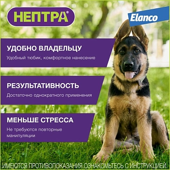 Нептра раствор для лечения наружного отита у собак