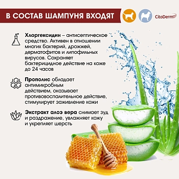 Цитодерм шампунь лечебный с хлоргексидином