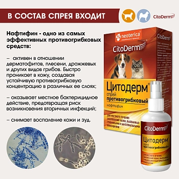 Цитодерм спрей противогрибковый для кошек и собак