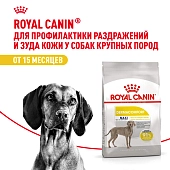 Royal Canin Maxi Dermacomfort для собак крупных пород с раздраженной кожей