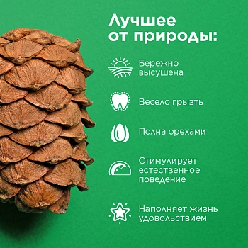 Little One Кедровая шишка игрушка-лакомство для грызунов