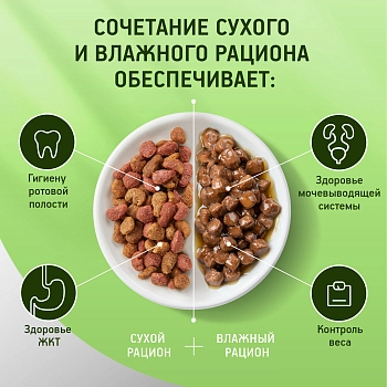 Kitekat сухой корм для кошек