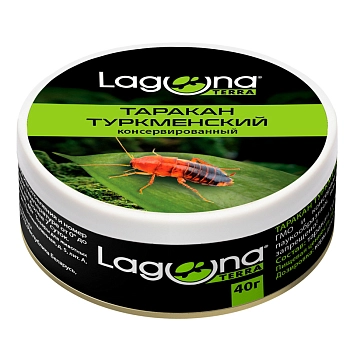 Laguna таракан туркменский консервированный
