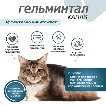 Гельминтал spot-on для кошек 4-10кг