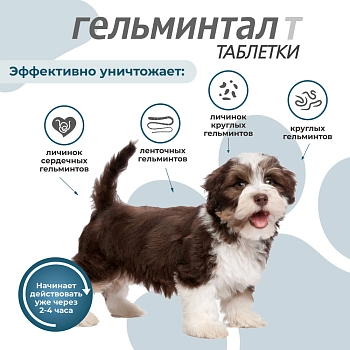 Гельминтал Т таблетки для щенков и собак менее 10кг