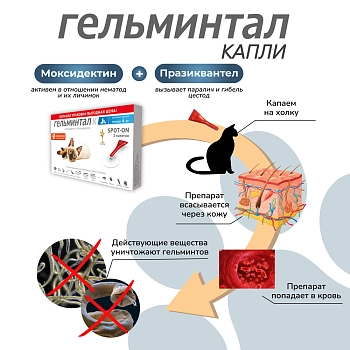 Гельминтал spot-on для кошек до 4кг
