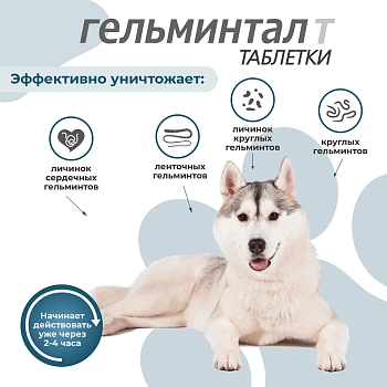 Гельминтал Т таблетки для собак более 10кг