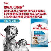 Royal Canin Medium Starter для щенков до 2 месяцев, беременных и кормящих сук средних пород