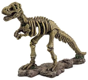 Laguna грот T-Rex
